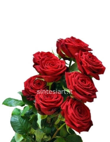 Bouquet di rose rosse