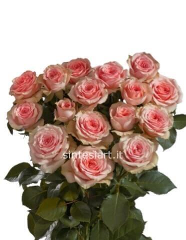 Bouquet di rose rosa