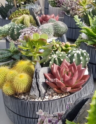 Composizione di piante grasse, vaso di ceramica artigianale e decorazioni.