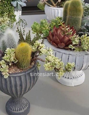 Composizione Artigianale di Piante Grasse in Ceramica