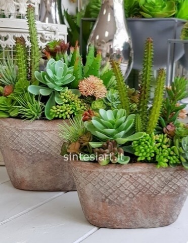 Composizione di piante grasse, vaso di ceramica artigianale e decorazioni.